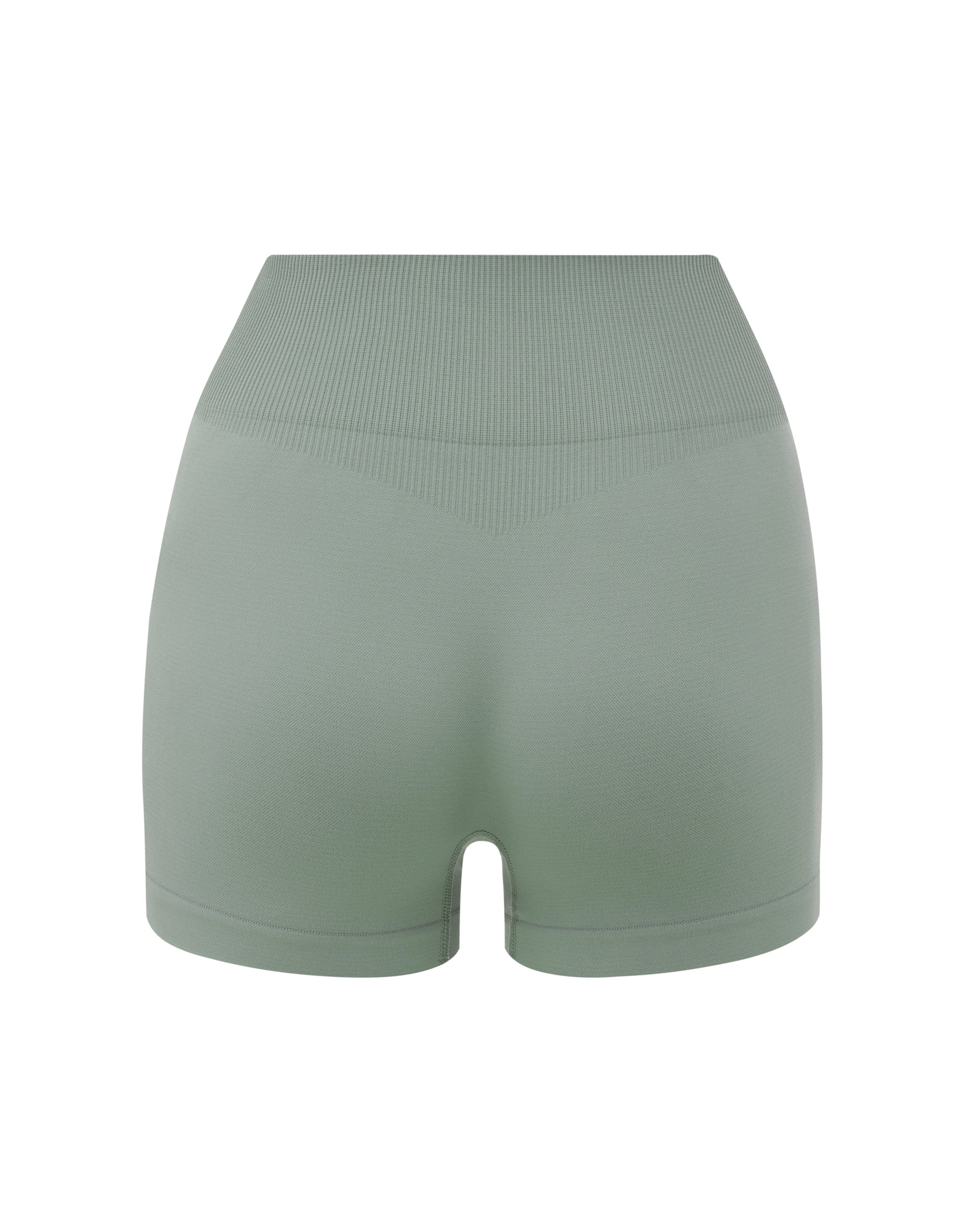 SL Seamless Mini Biker Shorts - Blue