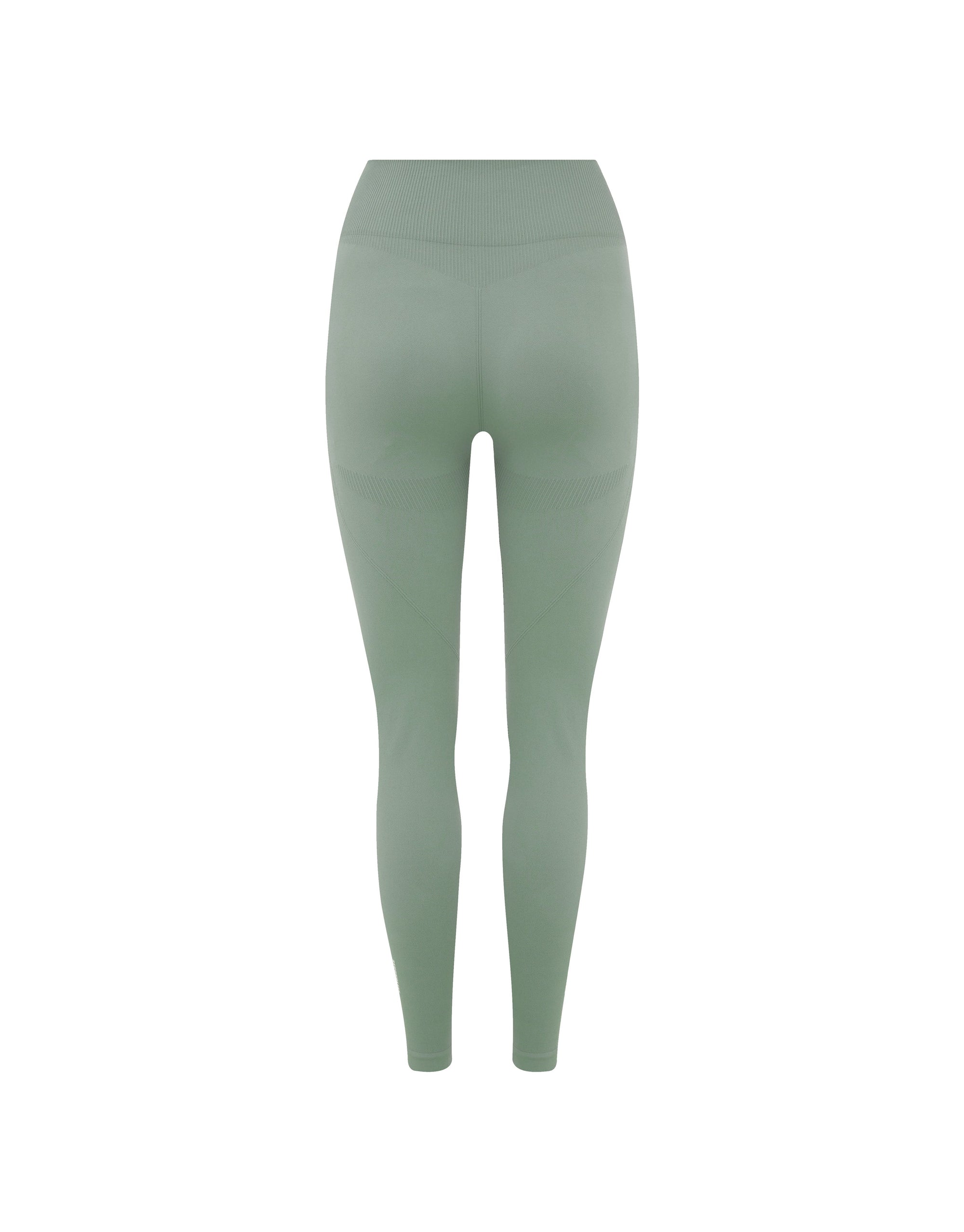 SL Seamless Full Length Tights - Blue